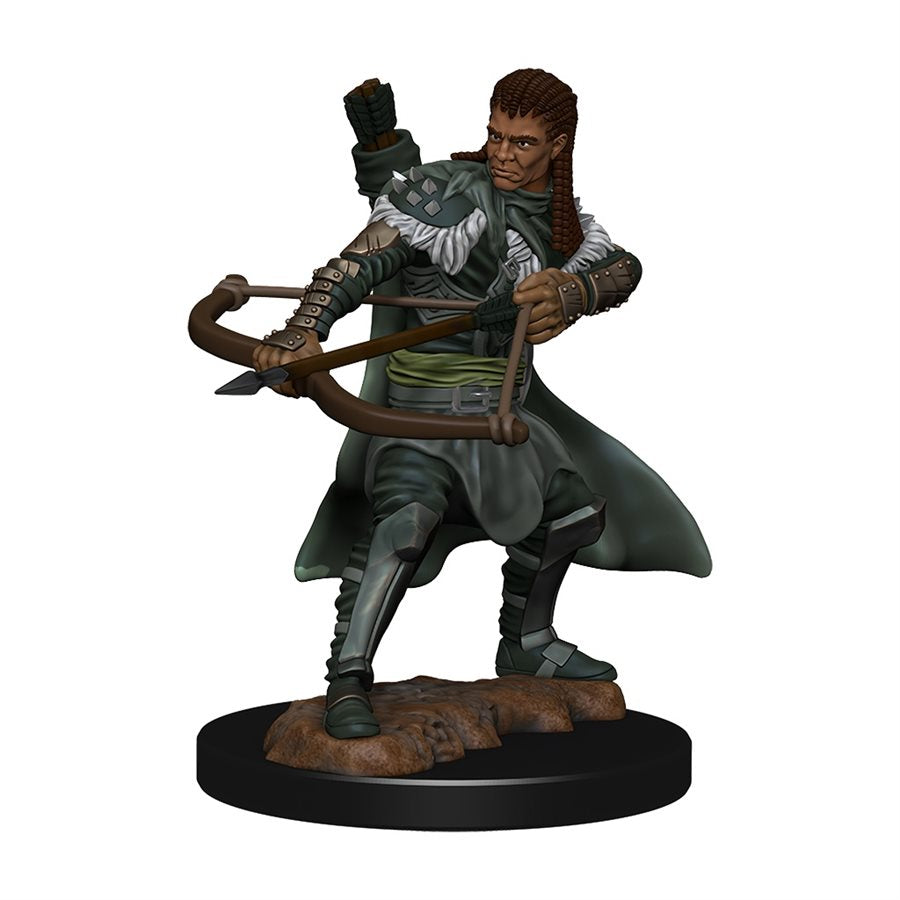 D&D-Painted figures- Human Ranger