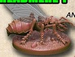 Ant Queen