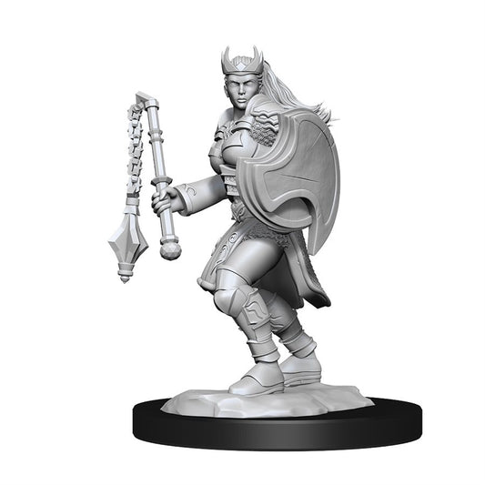 D&D Nolzur's- Kalashtar Cleric