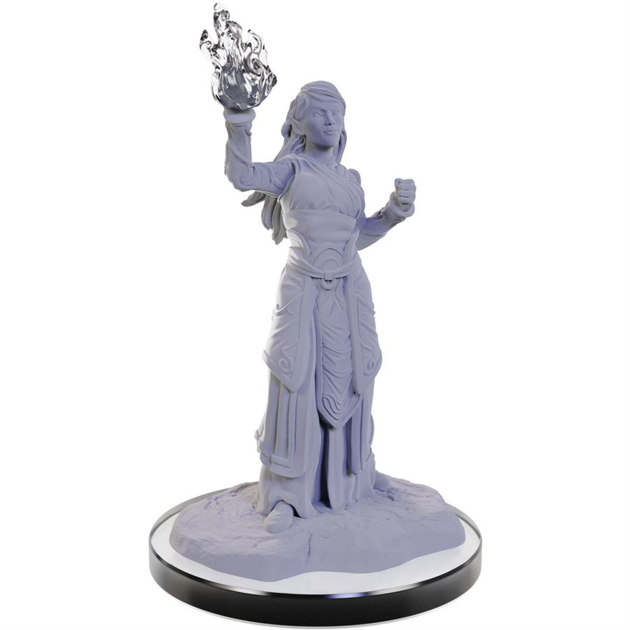 D&D Nolzur's Marvelous Miniatures: Wave  22: Elf Wizards