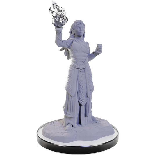 D&D Nolzur's Marvelous Miniatures: Wave  22: Elf Wizards