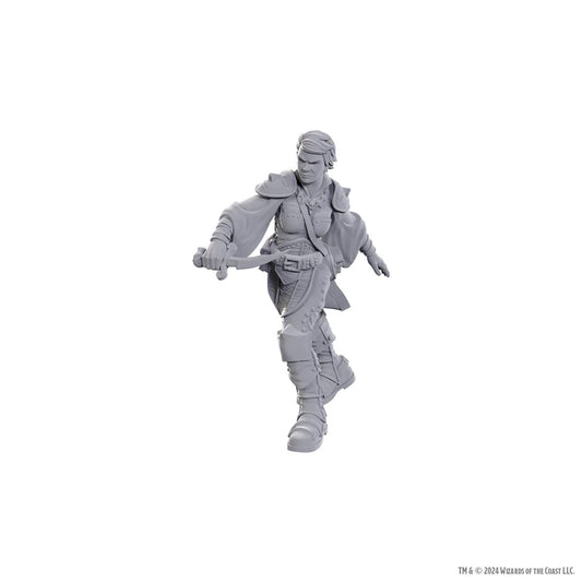 D&D Nolzur's Marvelous Miniatures: Wave  25: Swashbuckler
