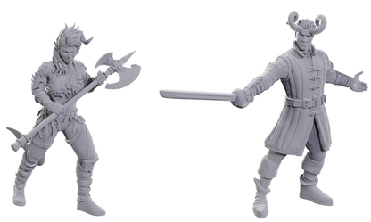 DND Unpainted Minis: Special Edition Baldur's Gate 3