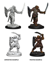 Dragonborn Female Paladin