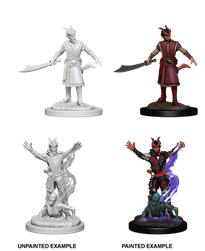 D&D Nolzur's Marvelous Miniatures: Wave  6: Male Tiefling Warlock