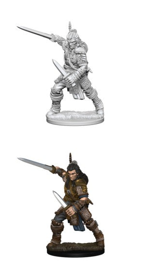 Human Male Fighter