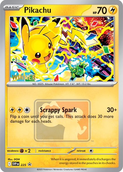 Ticket- August 17th- Pokémon TCG 2025 World Championship Tournament