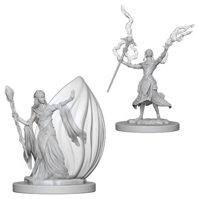 Elf Female Wizard