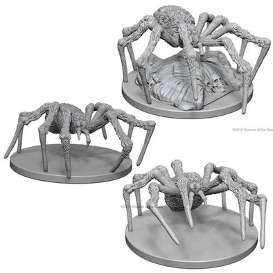 Spiders