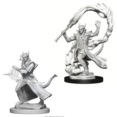 Tiefling Male Sorcerer - Wave 4