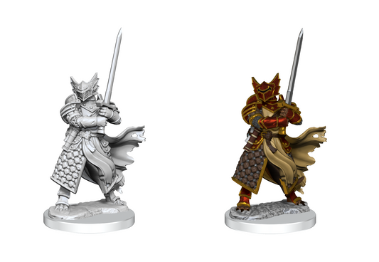 D&D Frameworks: Dragonborn Paladin  Male