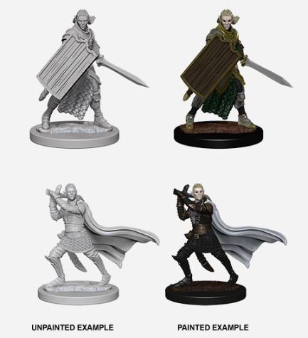 Pathfinder Deep Cuts- Wave 2- Elf Male Paladin