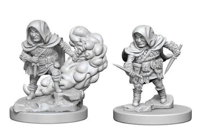 Halfling Male Rogue Wave 1