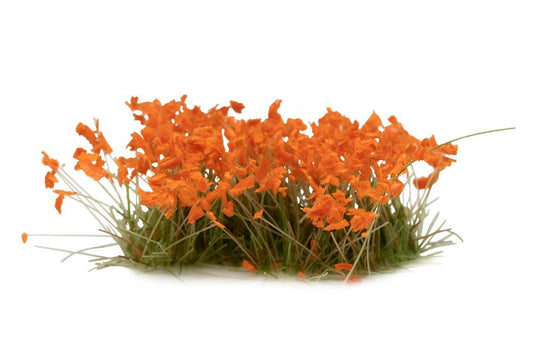 Orange Flowers