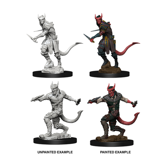 D&D Nolzurs: Wave 5: Tiefling Male Rogue